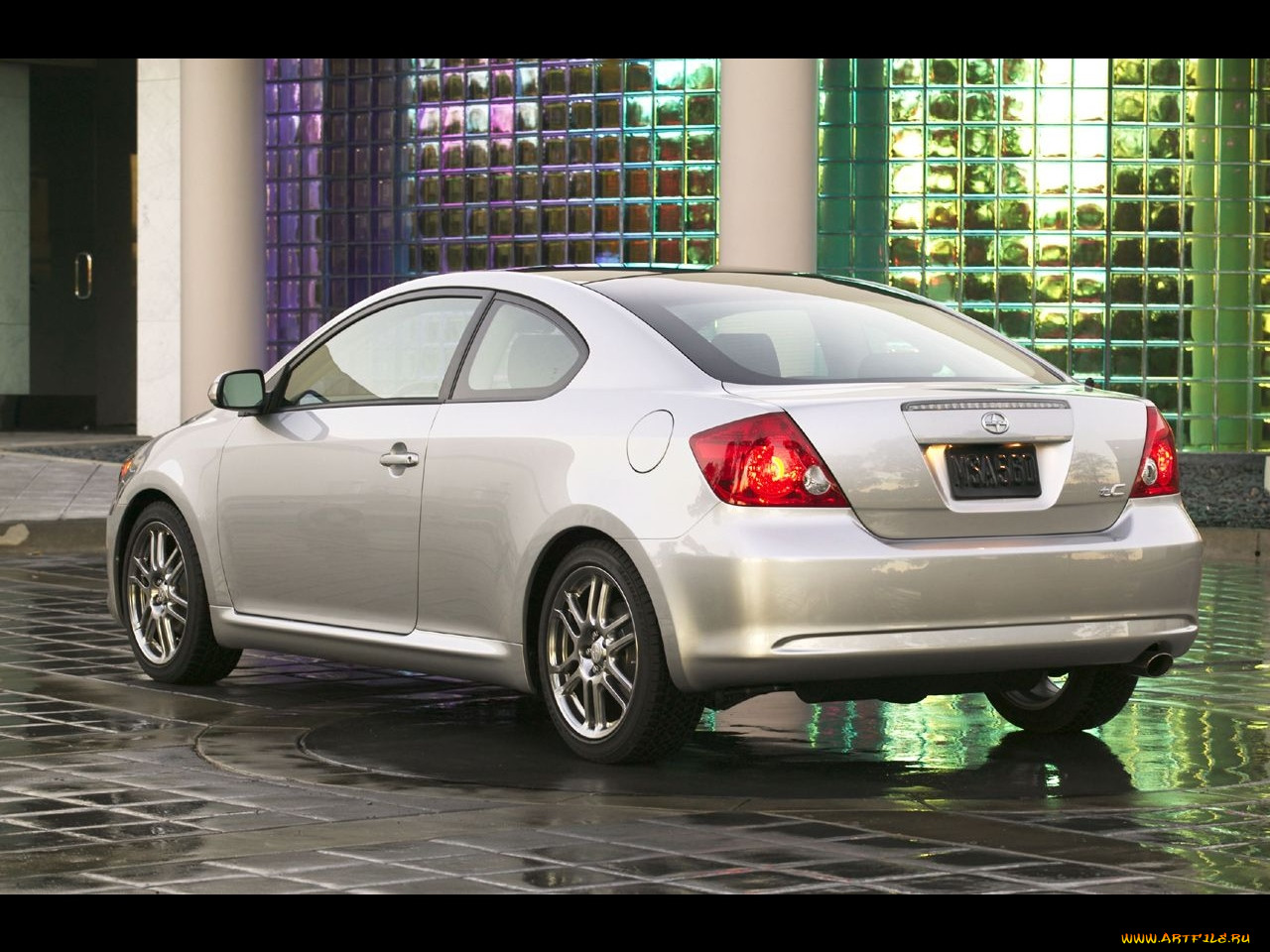 , scion
